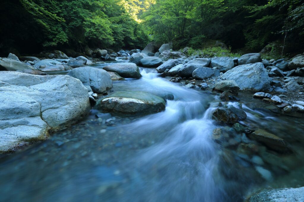 Clear stream flowing over rocks in forest