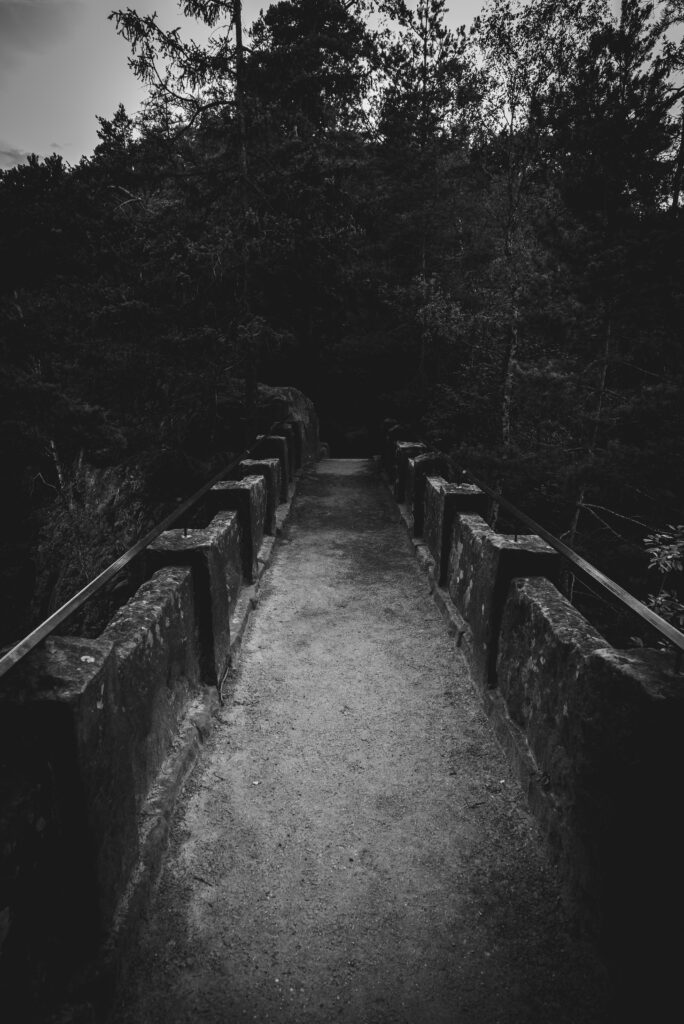 Stone bridge pathway in a dark forest scene.