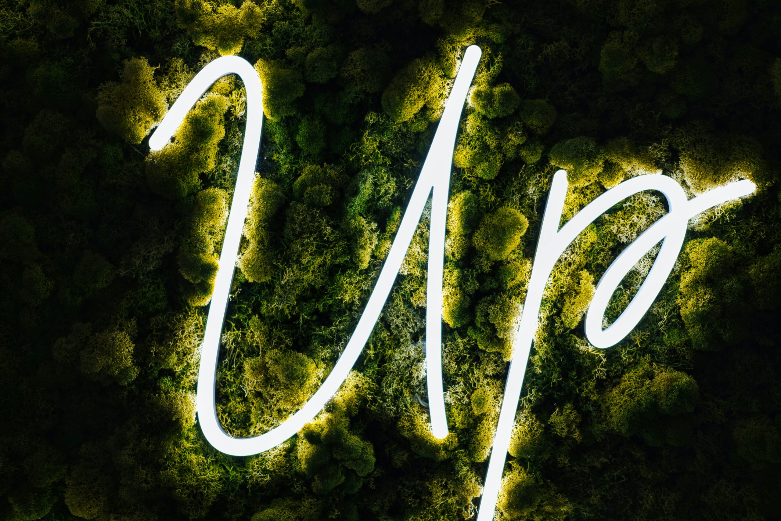 Neon 'Up' sign over green moss
